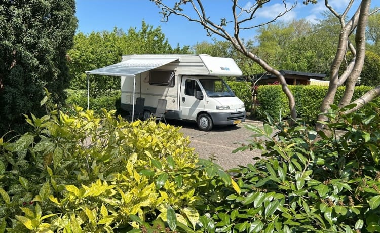 Fijne gezinscamper, Fiat Ducato 230 alkoof uit 1999