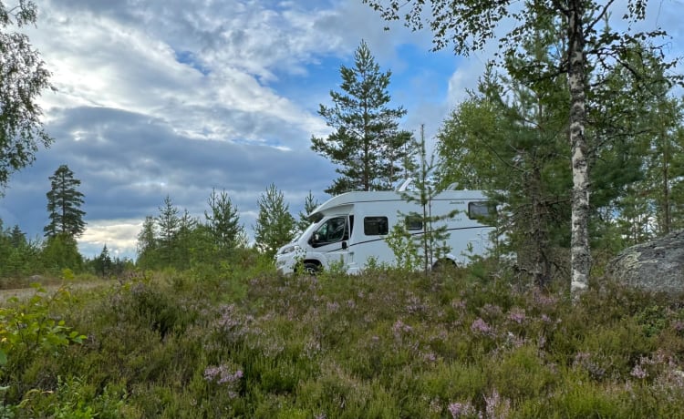 Top Camper Dethleffs Trend en parfait état