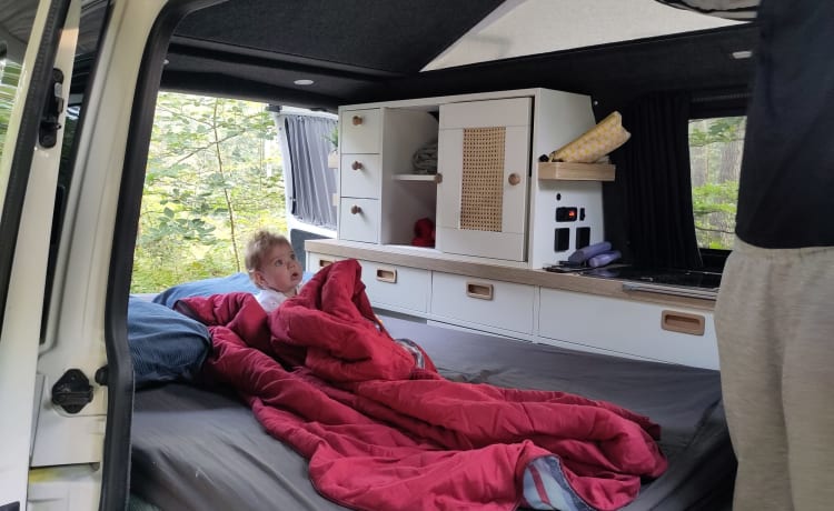 Summer yellow – 4 person campervan with cozy new Woodpecker installation