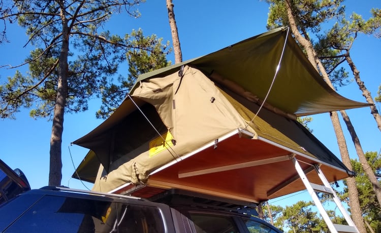 4p Ford rooftop from 2016