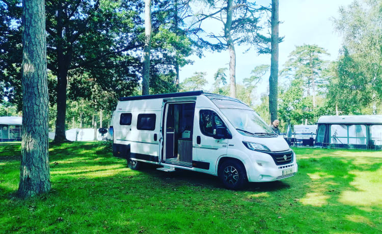 NIEUW! – Camper limited luxe edition - uitzonderlijk model 4p