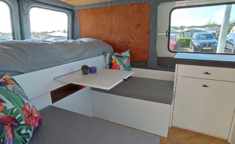 Joey – Unique and attractive camper van