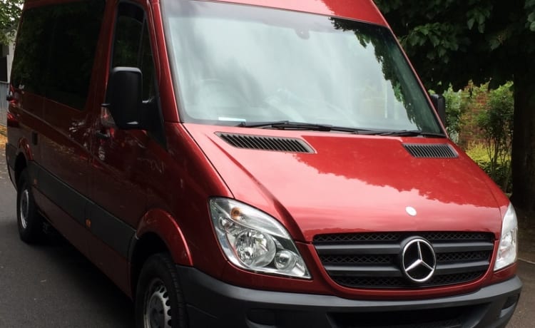 Camping-car automatique Mercedes Sprinter WAV Accessible en fauteuil roulant + e-tandem!