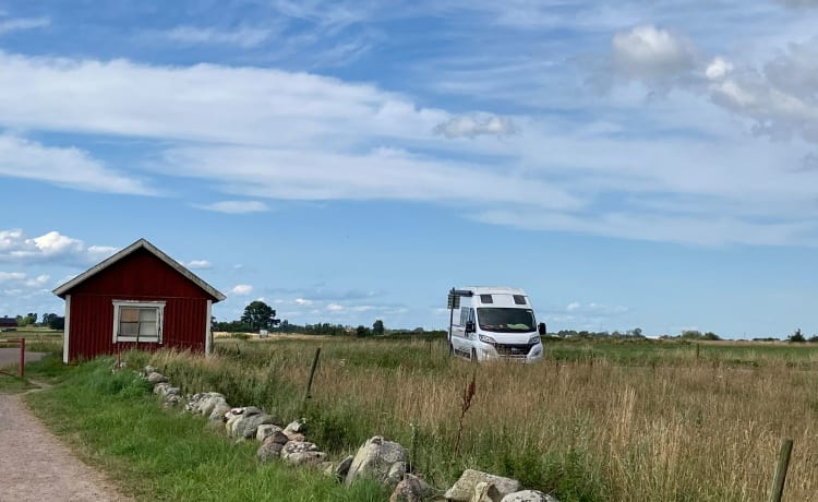 Campervan Bürstner Campeo 600