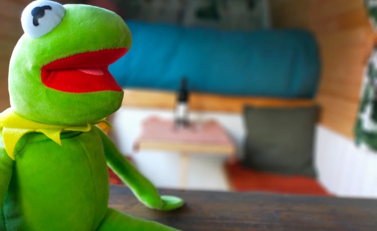 Kermit – On an adventure with our fantastic Kermit the bus camper!