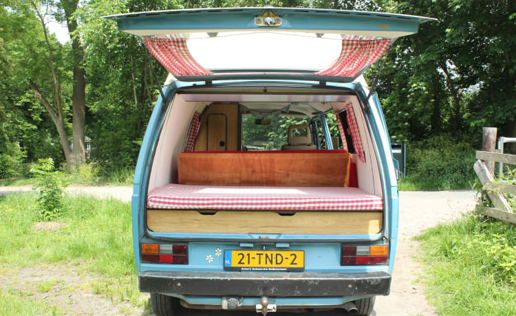 Mr. Blue – Cozy 2-4 person Volkswagen T3 from 1986!