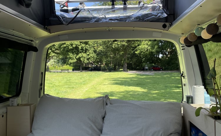 Comfortabel, Compleet, Cosy en Compact - Ventje VW T6