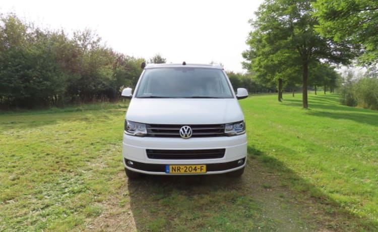 Buzz – VW California Komfortlinie (T5)