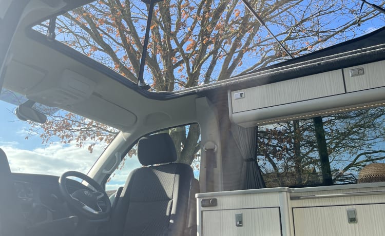 ETHEL – 2023 AUTOMATISCHE VOLKSWAGEN T6.1 HIGH SPEC LUXE CAMPER