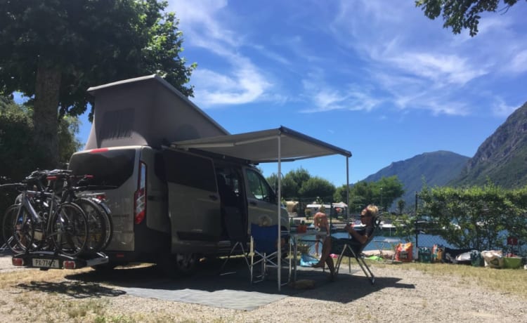 Luxury and complete bus camper - Ford Nugget Westfalia with lifting roof