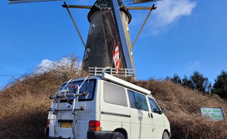 Coconut – 4p Volkswagen Westfalia California uit 1991