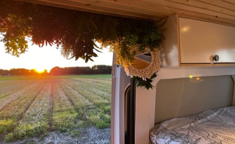 Try Vanlife – Probieren Sie Vanlife aus! in unserem Fiat Ducato Off the Grid (großes Festbett)