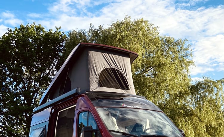 Campervan Dreamer D43 Up