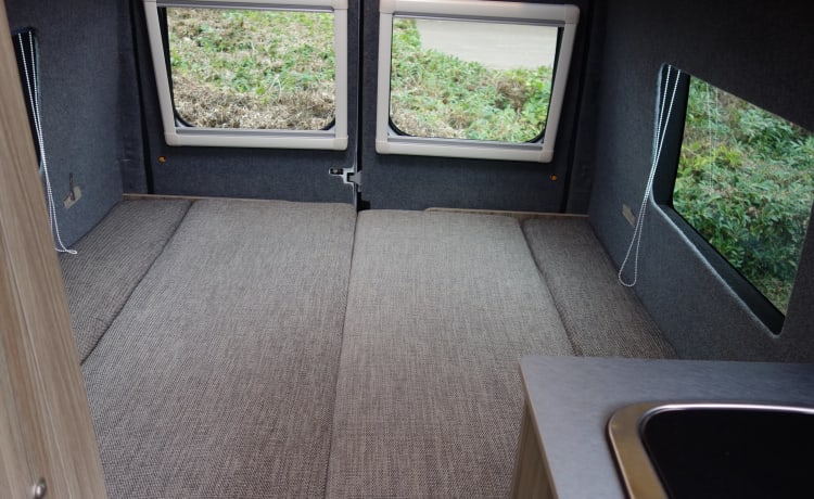 Ford Transit – 2-persoons Camper met Douche, Keuken, Toilet en TV