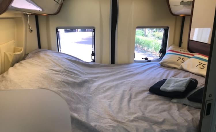 Soestdijk – 2 person bus camper from 2017, Roller Team Livingstone Prestige