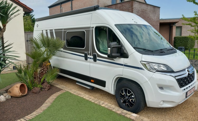 Amapola-van – Te huur Carado campervan uit 2024