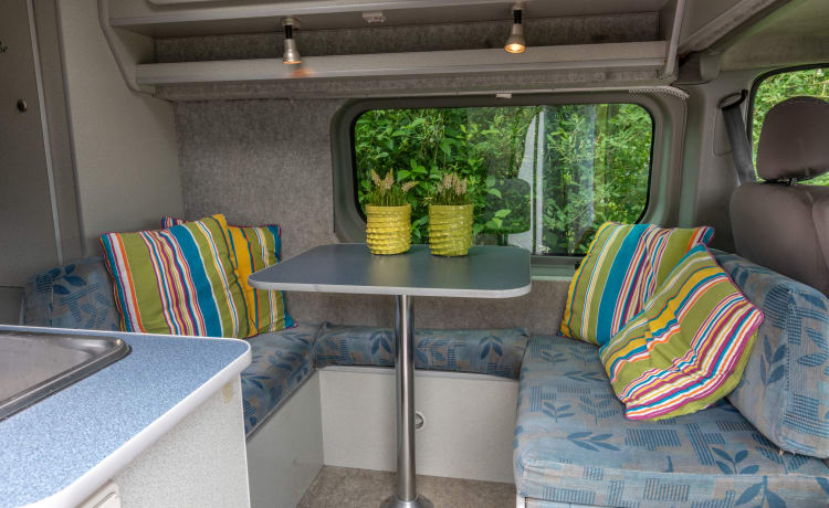 Type 5 – Compacte All seasons camper