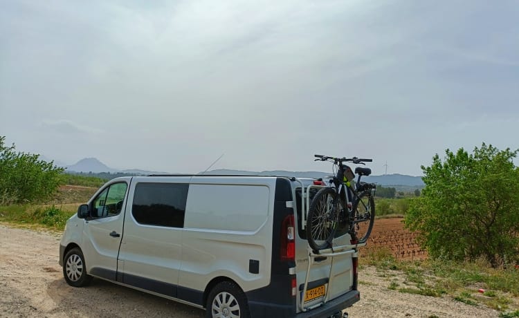 Nieuw omgebouwde camperbus