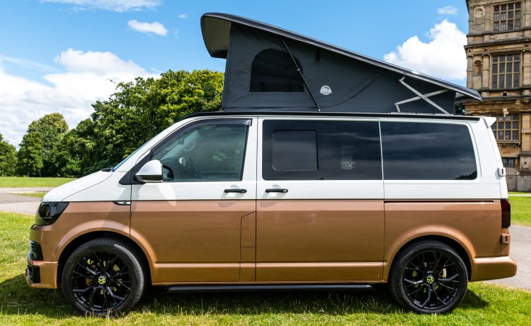 Floki – 4-persoons Volkswagen campervan uit 2016