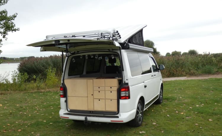 "Vrouwtje"  – „Frau“ – 3er Volkswagen T5 Bus (2014) (kein Fahrradträger)