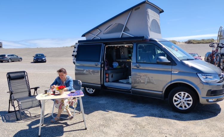 Déesse – VWCalifornia Ocean