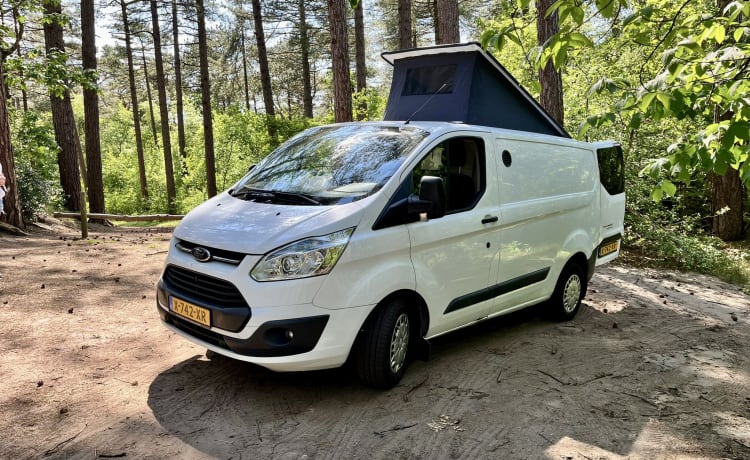 Cosy, compact off-grid Ford camper van