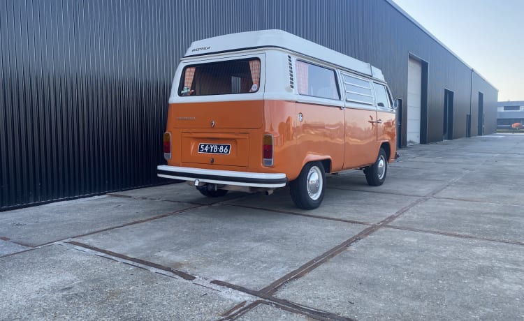 Bus Texas – Volkswagen T2b, 1974