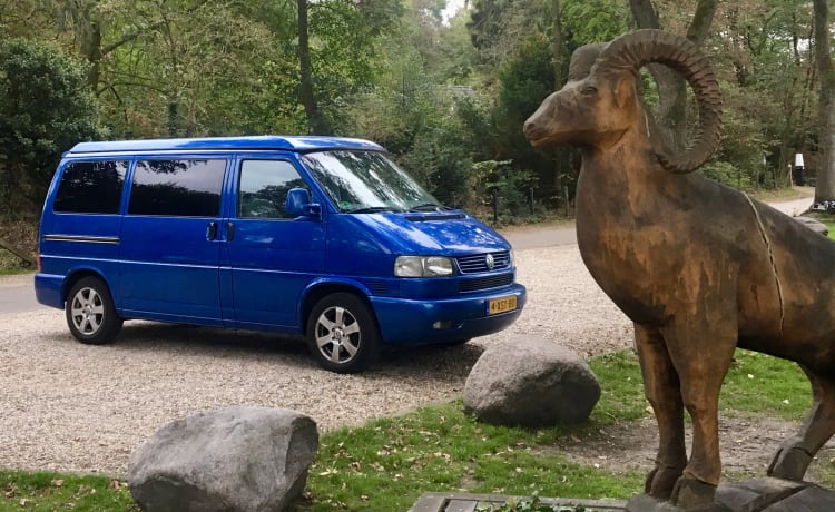 The Blue Diamond – Een krachtpatser van een Volkswagen T4 | 1 tot 4 personen | 2.5TDI - 115PK