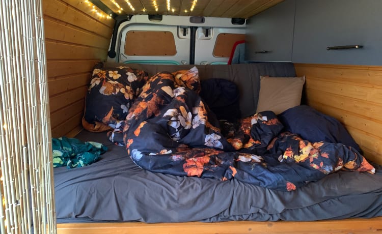 Camper | Mercedes Sprinter