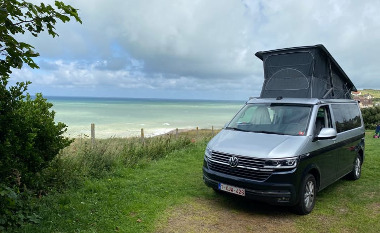 VW California T6.1 Ocean - Grijs/Blauw - Automaat