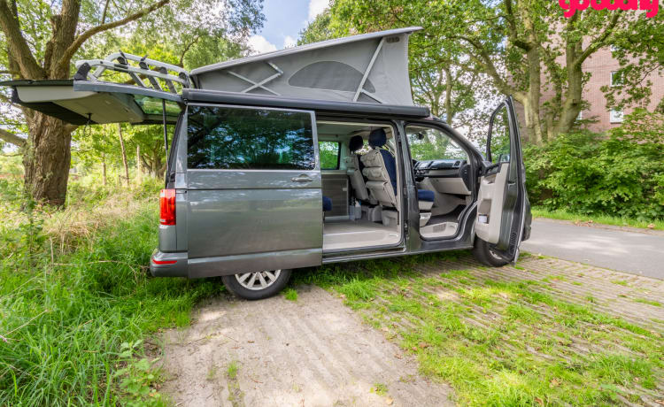 Bas – 4p Volkswagen VW6 California Ocean 2018