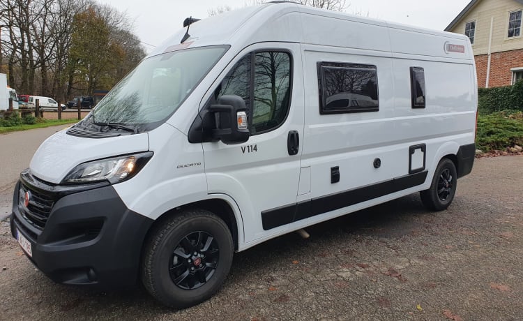 v114 max – 4pers Bus camping-car 2021