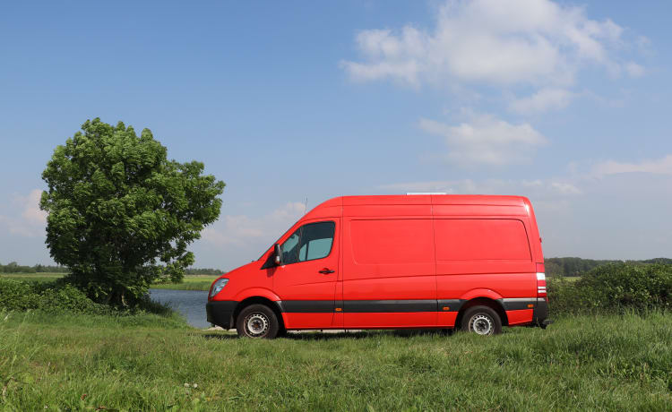 Reddy – Unico Mercedes Sprinter fai da te