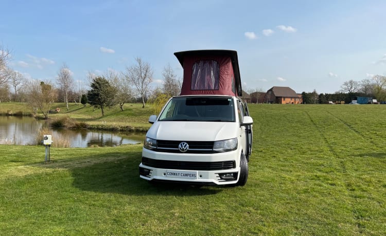 Freedom "Candy White" – Model: VW T6 Highline Transporter   : New Conversion   