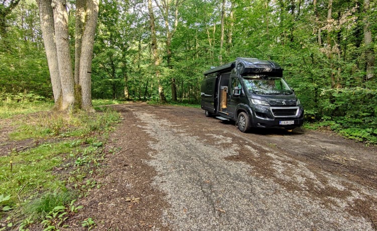 Finn de Campervan – 100% autonomy & comfort