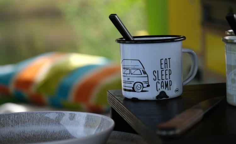 Theo – VW-T3 Bulli