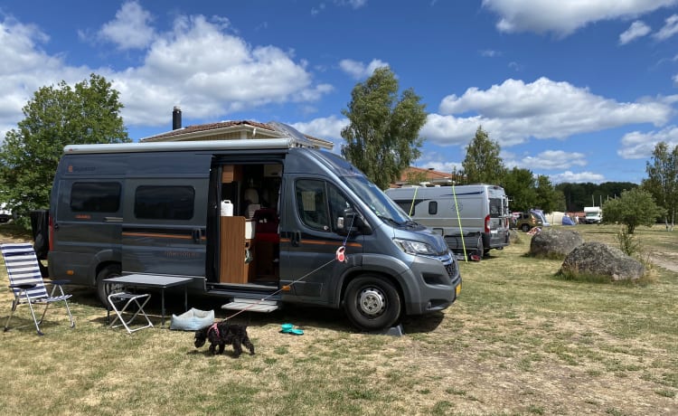 CARAN – 2p Citroën campervan uit 2018