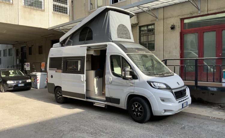 Flavio – Van 4 posti dreamer d55 up