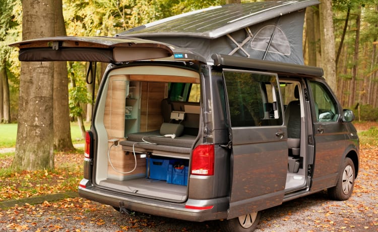 Desmond – VW California Coast Campervan (6.1) 2022