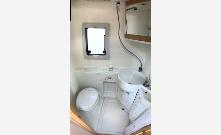 Fresh VW camper around! (4 person alcove)