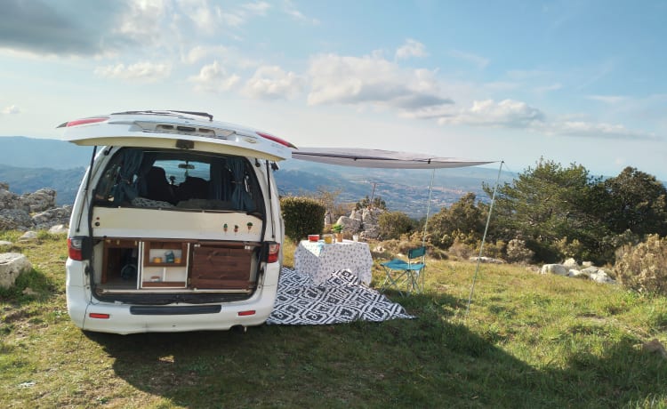 VAN BOB – HYUNDAY - VANTASTIK RENTAL CAMPERVAN