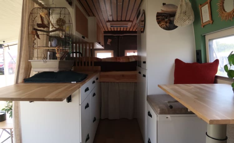 Joë – Ruime maar Knusse Off Grid Camperbus L4H2 