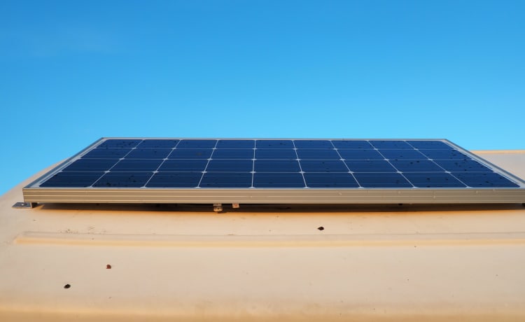 Sandy – 1979 Volkswagen Camper mit Erkerfenster, 4. Geburt, netzunabhängige Solaranlage