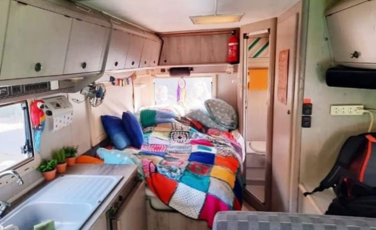 Ruime hippe retro 4p Fiat Ducato 280 camper uit 1990