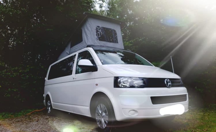 Dora – Camping-car VW récemment converti, moderne et élégant