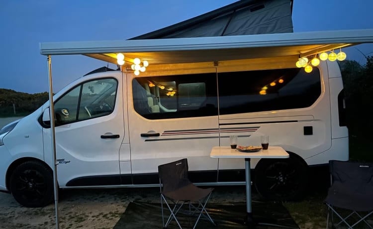 Milly – Fiat-camper met 4 slaapplaatsen uit 2020