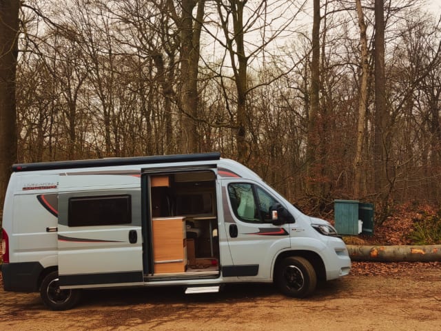 Wiewuiten – 2er Roller Team Bus von 2017 (4 Sitze)