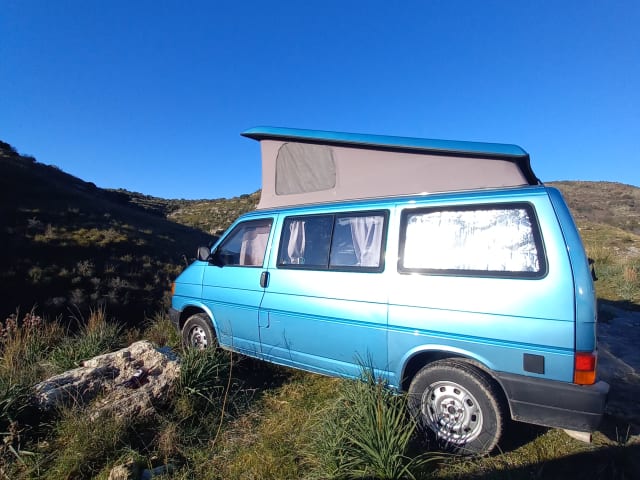 Lizz – Volkswagen T4 Californie