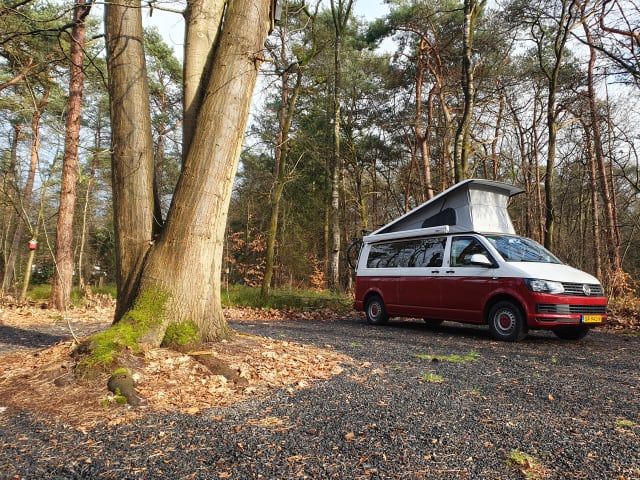 DreamCatcher – 4p Volkswagen camper van from 2025 - many extras included