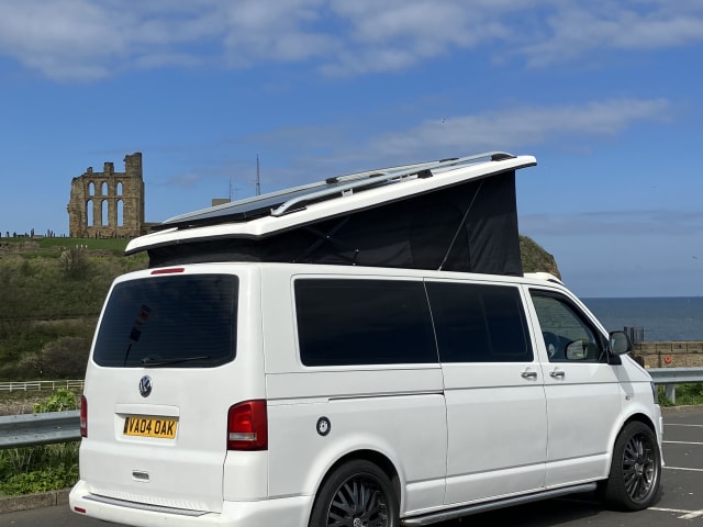 Salty sea dog  – 4 berth Volkswagen bus from 2012